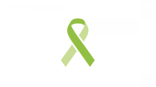 A lime green ribbon on a white background.